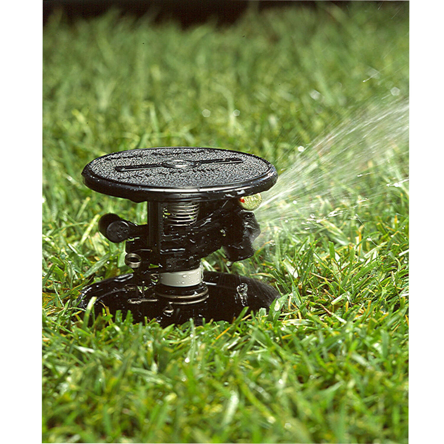 Rain Bird 3 in. H Adjustable Impulse Sprinkler