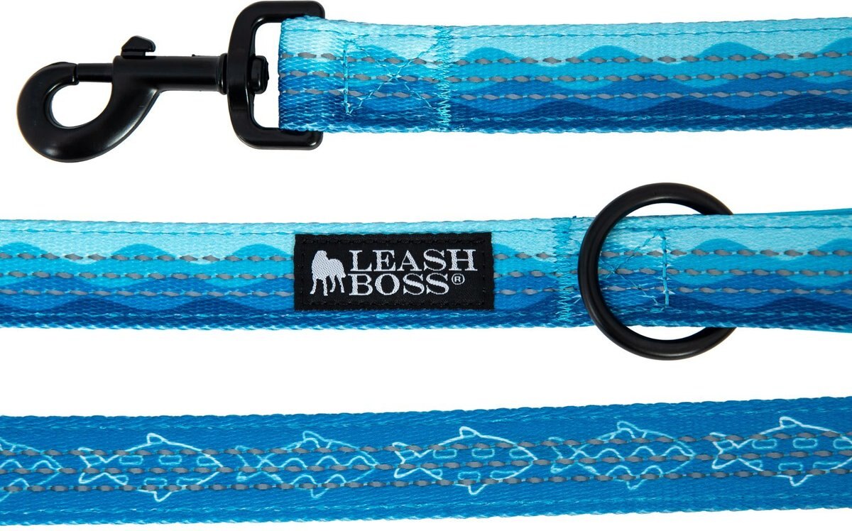 Leashboss Patterned Standard Dog Leash， 6-ft long