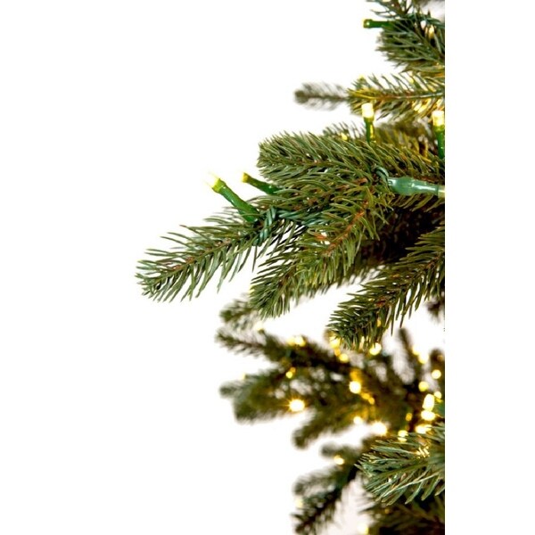 Forever Tree 9' Carolina Fraser Fir (8 Functions)