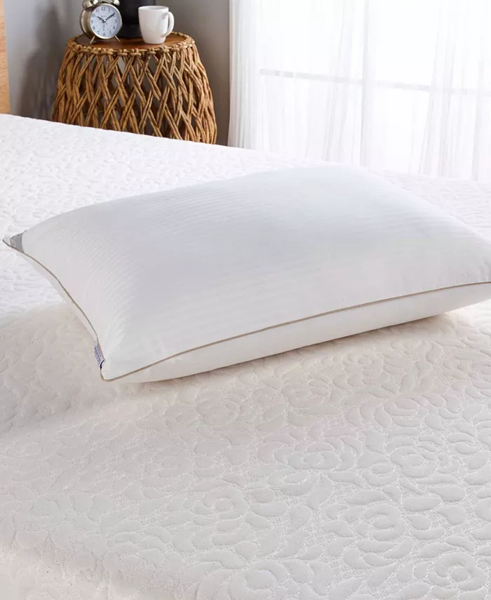 Isotonic Back Stomach Sleeper Pillow， Standard Queen