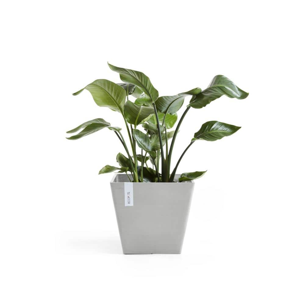 O ECOPOTS BY TPC Rotterdam 12 in. White Grey Premium Sustainable Planter ROT.30.WG