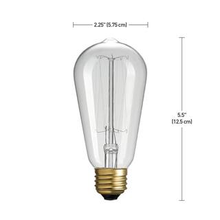 Globe Electric 60 Watt ST19 Dimmable Cage Filament Vintage Edison Incandescent Light Bulb Warm White Light 01321