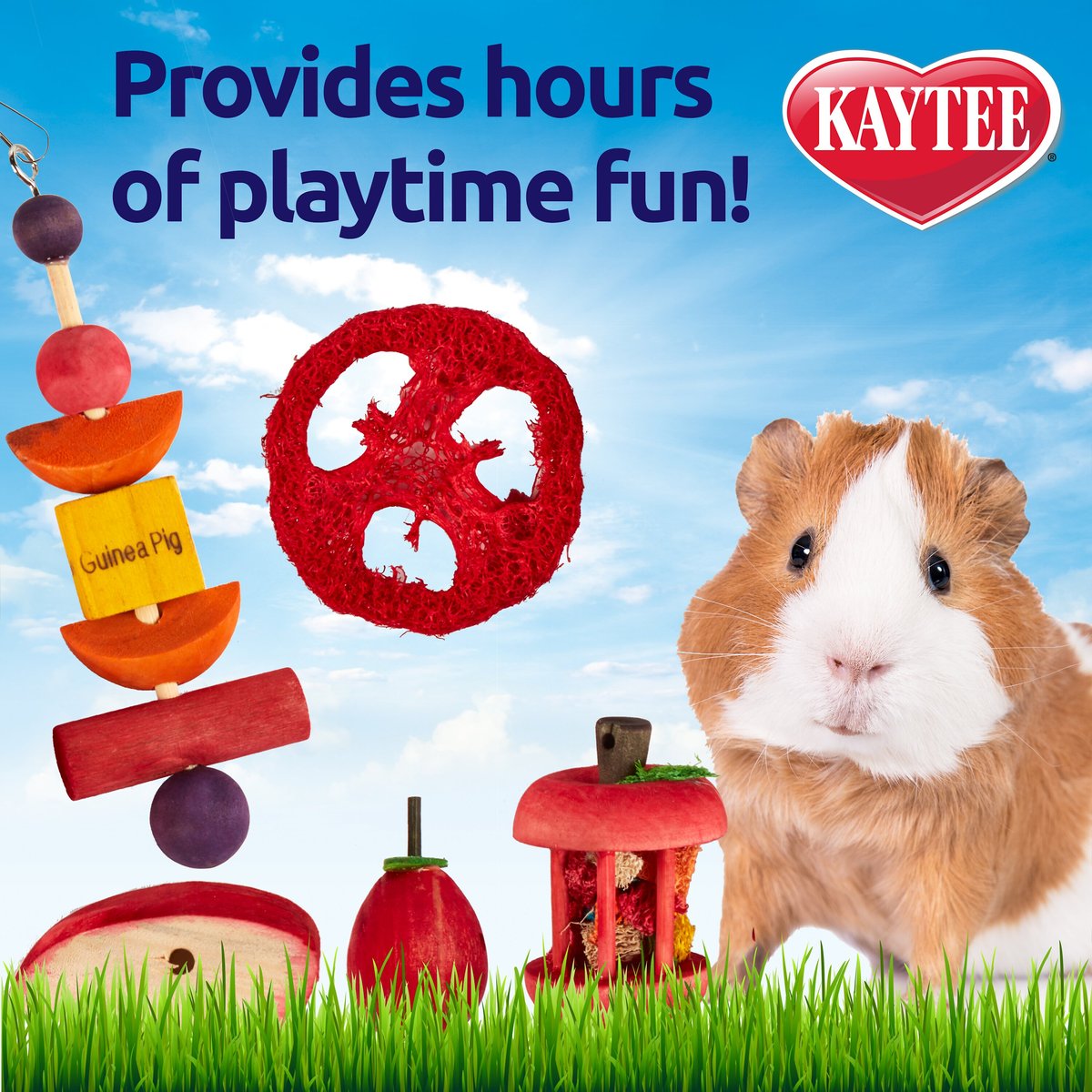 Kaytee Chew and Treat Toy Guinea Pig Assortment