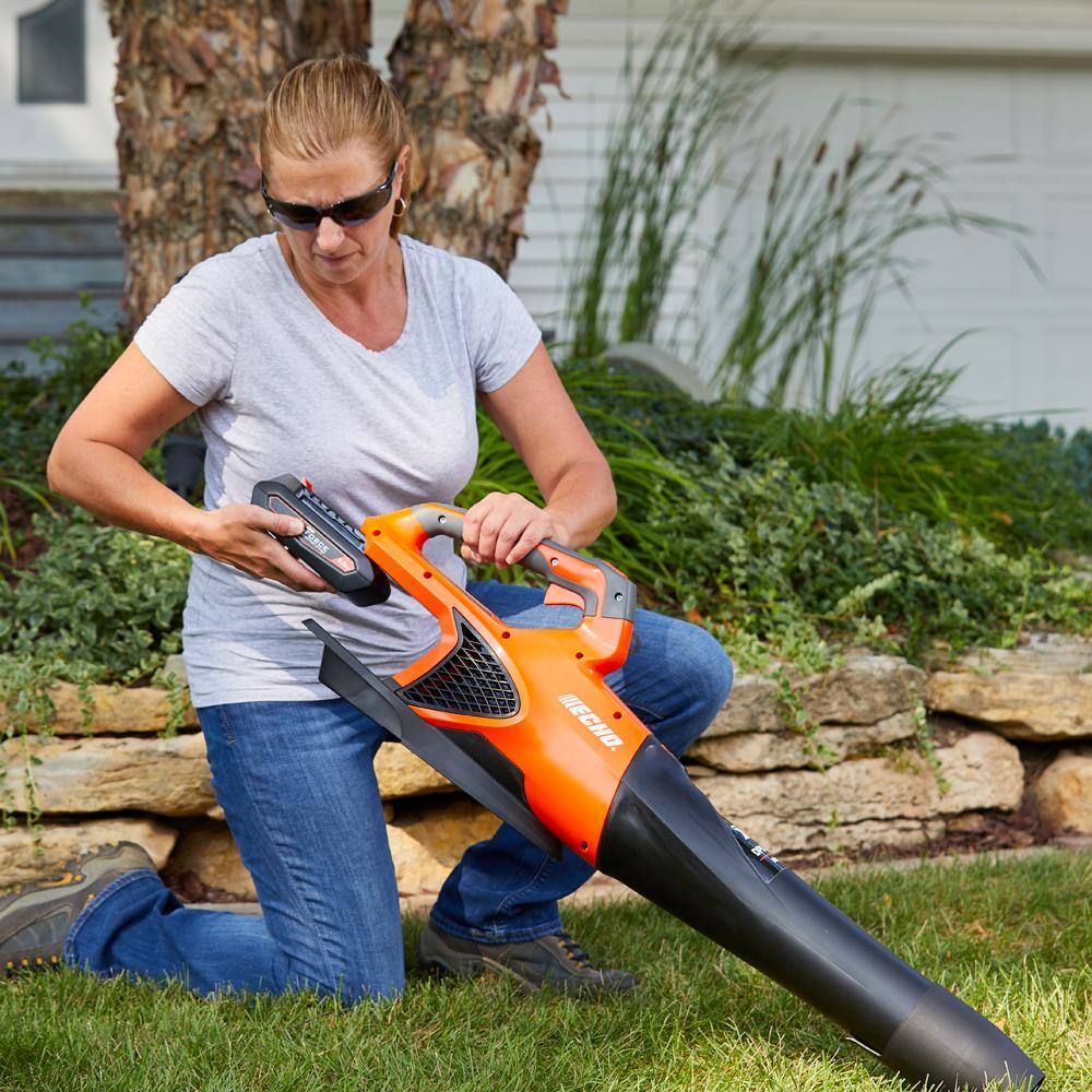 ECHO DPB-2500R2 eFORCE 56V X Series 151 MPH 526 CFM Cordless Battery Handheld Leaf Blower with 5.0Ah Battery and Rapid Charger