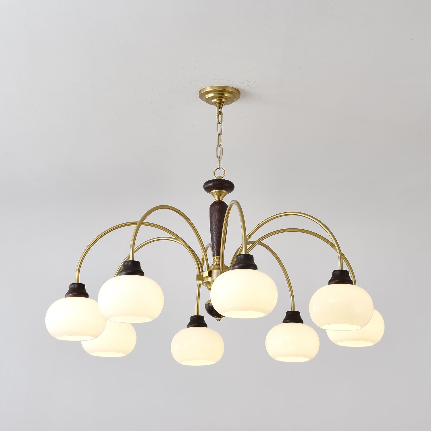 Arched Globe Chandelier