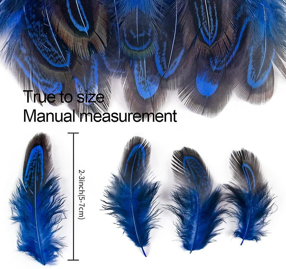 100 Pcs 2-3 Inch Royal Blue Pheasant Feathers Bulk Various Colors Natural Feather Crafts Clothing Hat Sewing Decorating