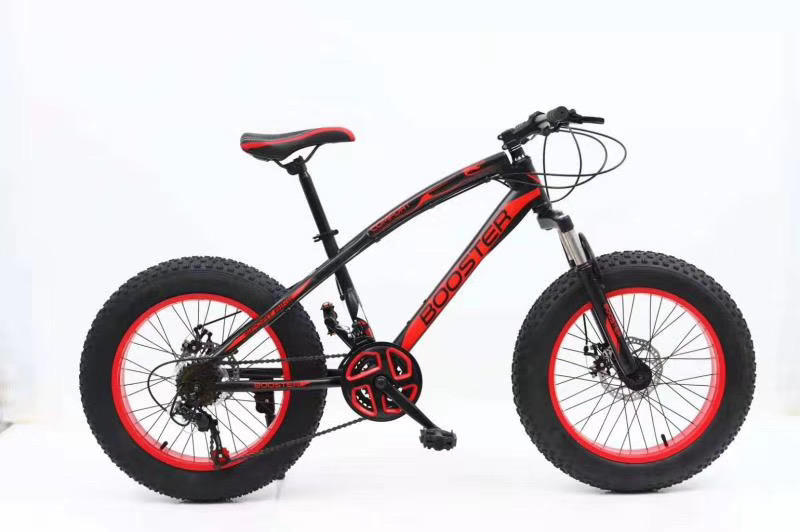 adult mountain bike 26 inch FAT TIRE 29 inch MTB bicycle cycle for man