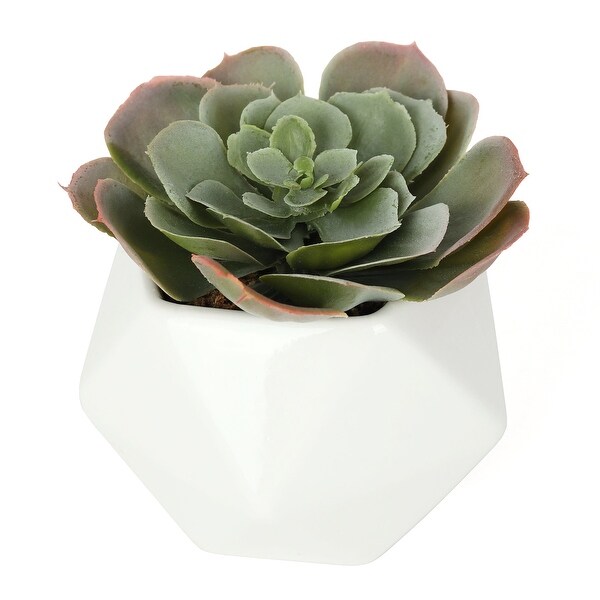 Artificial Succulent