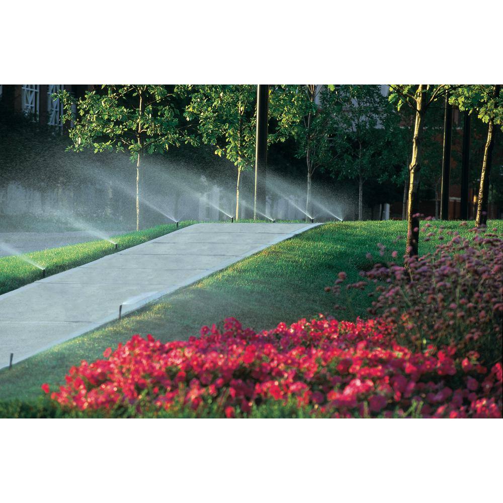 Rain Bird 4 in. Pop-Up Adjustable Pattern Non-potable PRS Sprinkler with Purple Cap 1804NPPRS