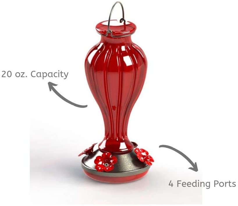 More Birds Hummingbird Feeder， Glass Hummingbird Feeders， Red， 4 Feeding Stations， 20-Ounce Nectar Capacity， Blossom