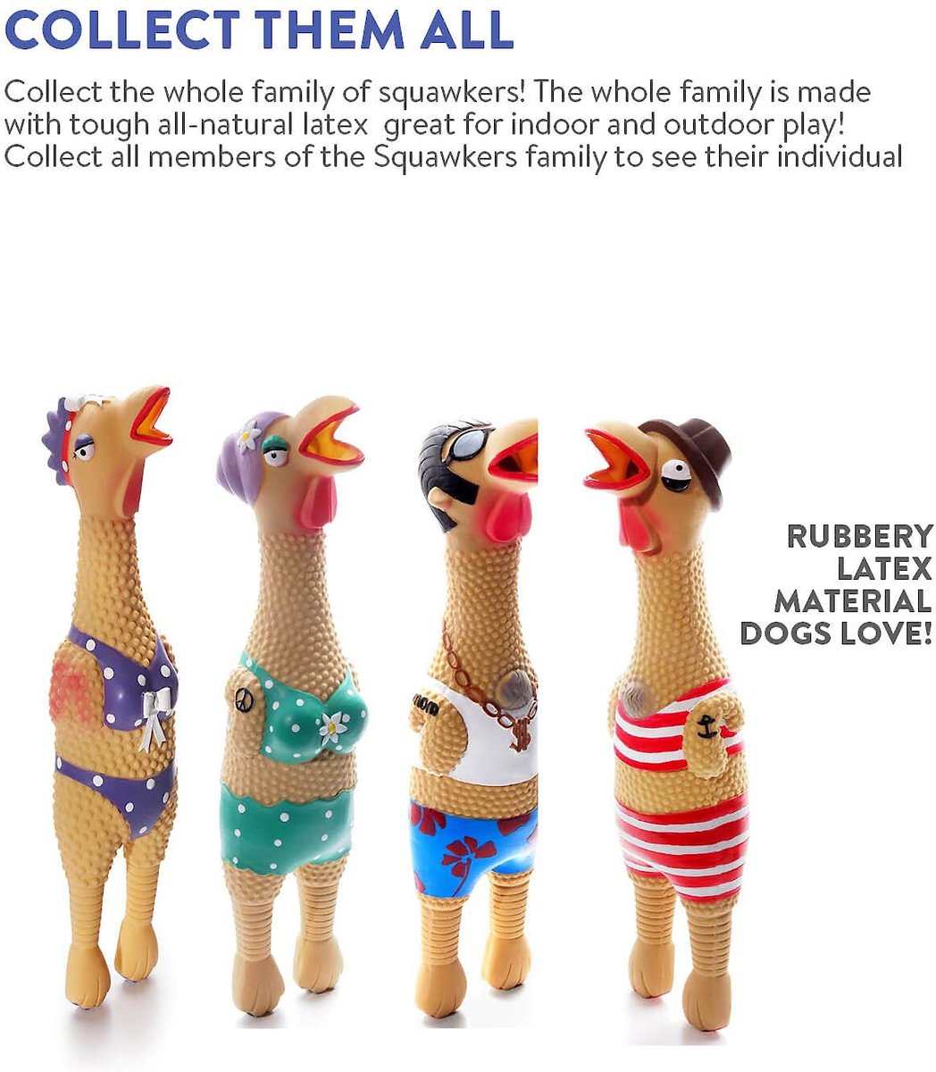 Charming Pet Squawkers Squeaky Latex Dog Toy