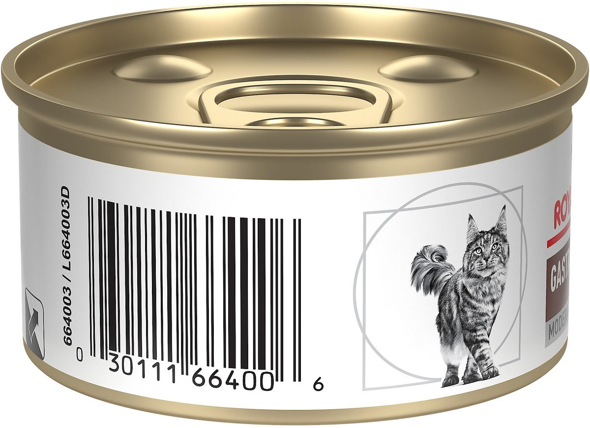 Royal Canin Veterinary Diet Adult Gastrointestinal Moderate Calorie Thin Slices in Gravy Canned Cat food