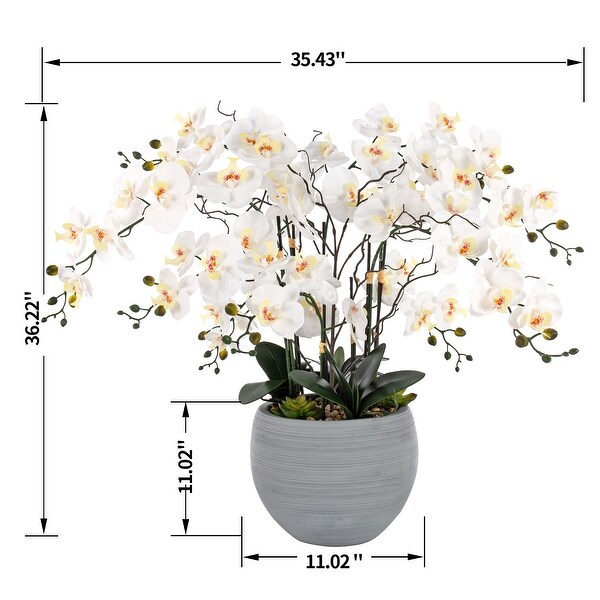 9 Stems Nearly Natural White Phalaenopsis Orchids with Succulents in White Magnesium Oxide Pot