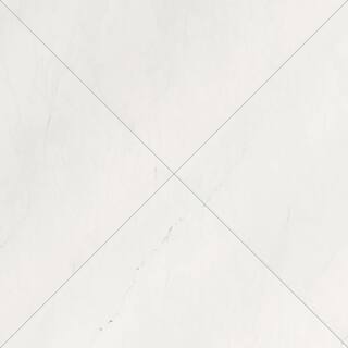 MSI Aria Ice 24 in. x 24 in. Polished Porcelain Floor and Wall Tile (16 sq. ft.  case) NARIICE2424P