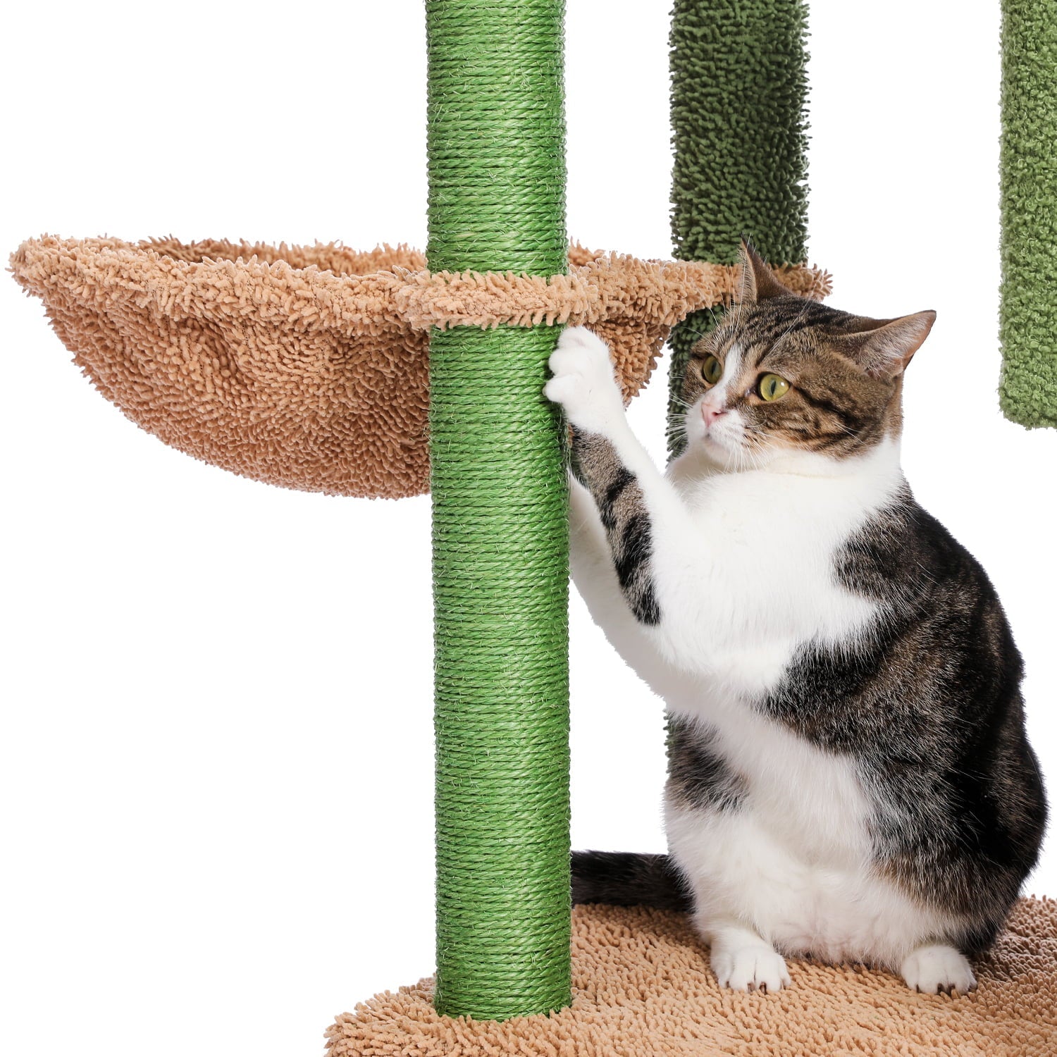 Cat Tree 41 Inches Cactus Cat Tower with Sisal Covered Scratching Post and Cozy Condo for Indoor Cats, Cat Climbing Stand with Plush Perch &Soft Hammock for Multi-Level Cat Play House