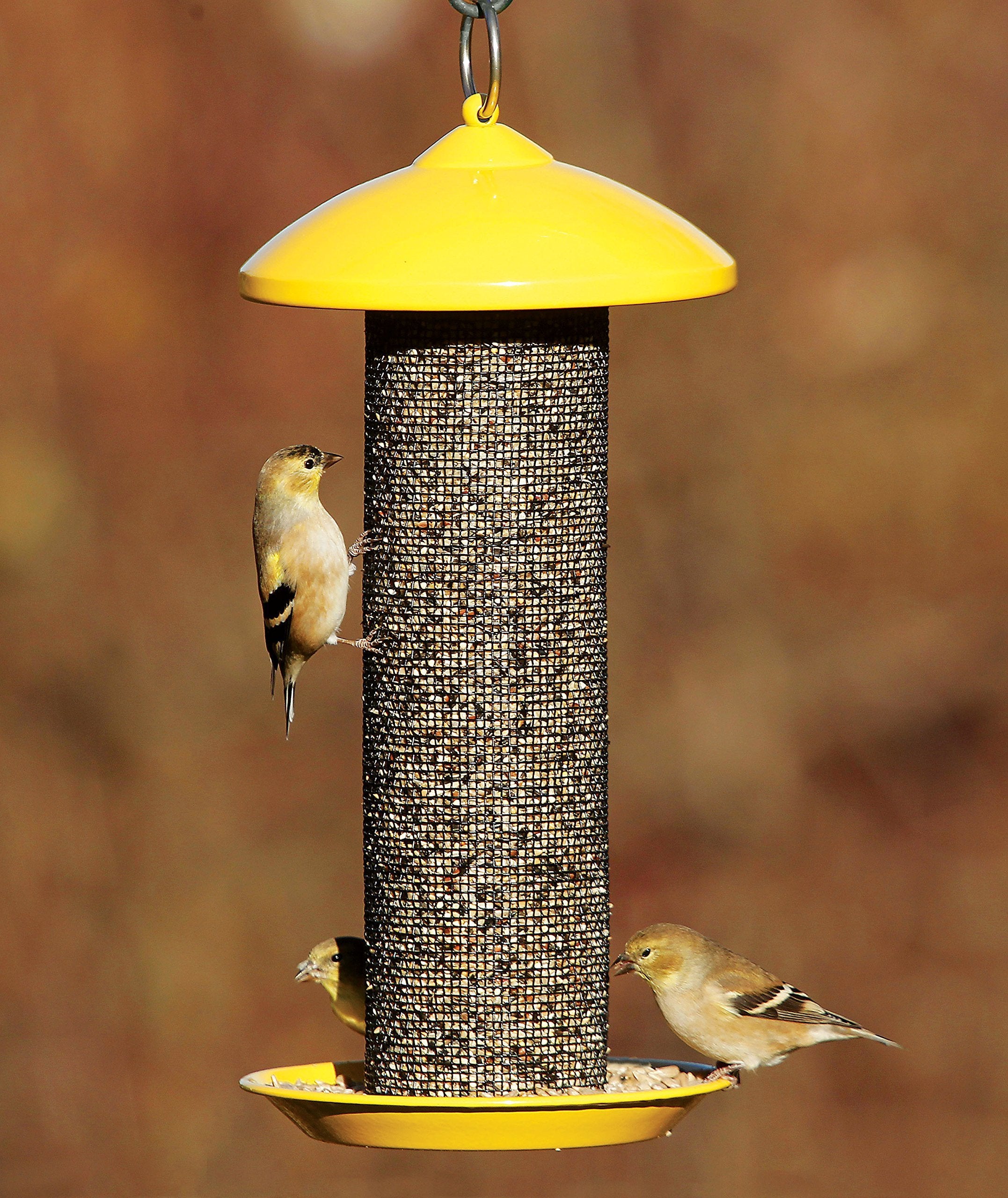 Stokes Select 38171 Finch Screen Bird Feeder with Metal Roof， Yellow， 1.1 lb Seed Capacity