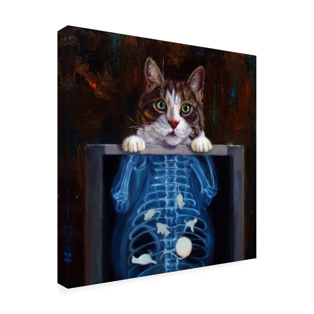 Trademark Fine Art lucia Heffernan x27 cat Scan x27 Canvas Art