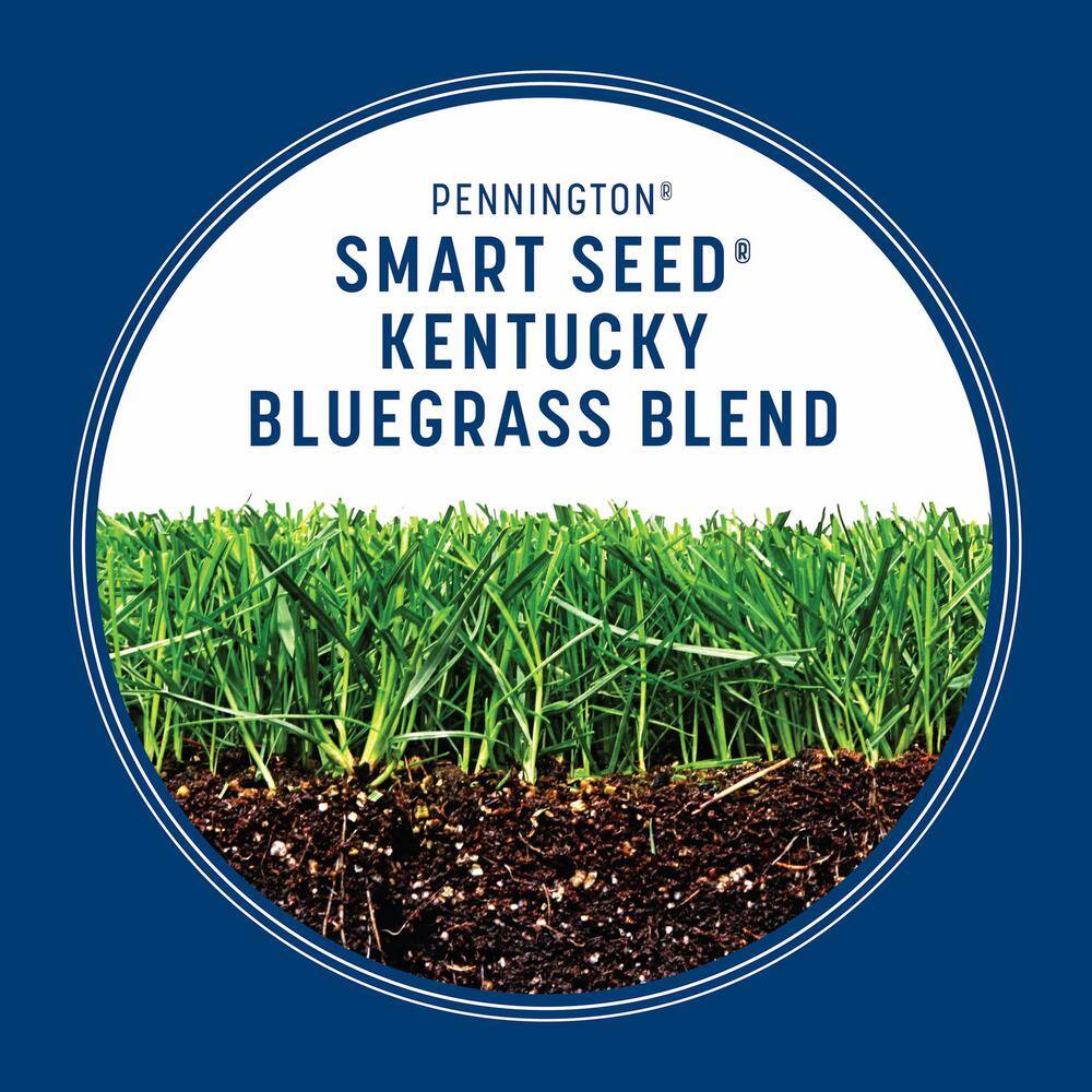 Pennington Smart Seed 3 lbs. Kentucky Bluegrass Grass Seed Blend 100543705