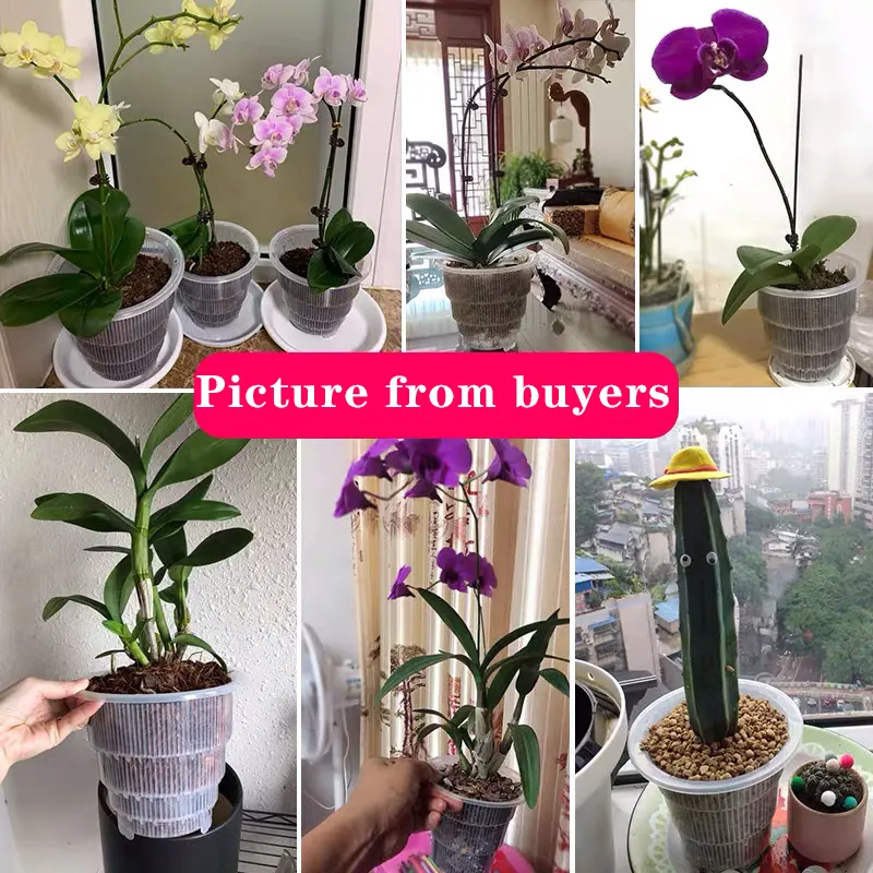 Garden Supplies  Plastic Flower Pots Transparent Durable Clear Plastic Pots For Orchids Plant Tree Pots