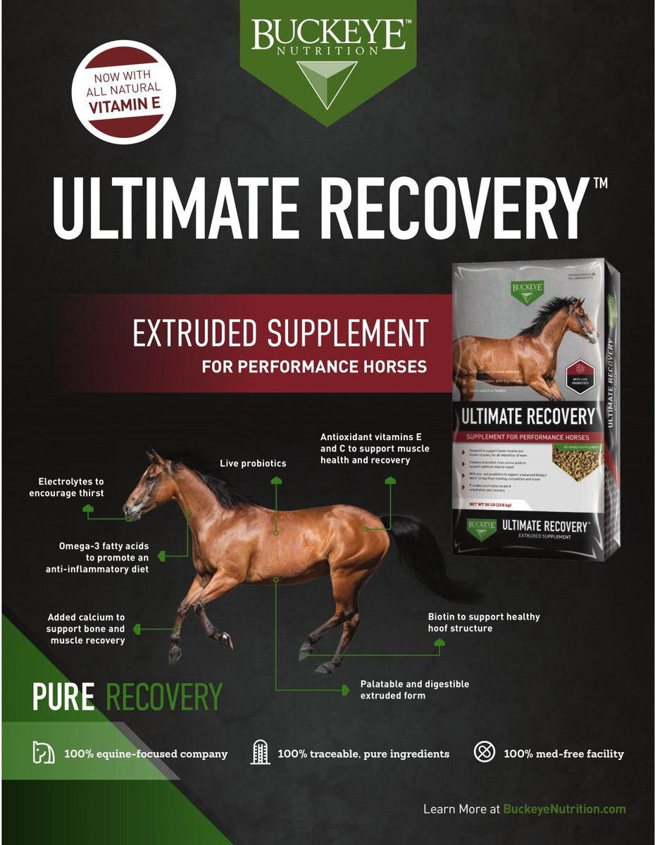 Buckeye Nutrition Ultimate Recovery Extruded Performance Pellets Horse Supplement， 30-lb bag