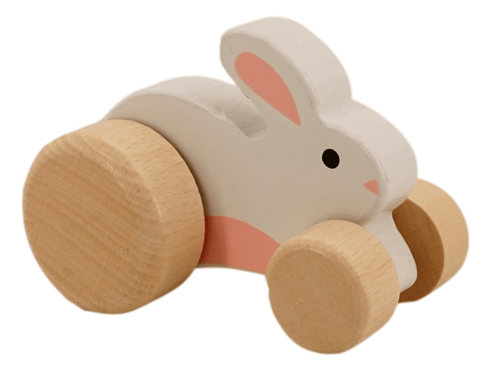 Wooden Push Pull Toys (3 Pack， Rabbit， Duck， Turtle， 4.5 in tall) Up Down Motion Animals Rolling Stuffers Toddlers and Children