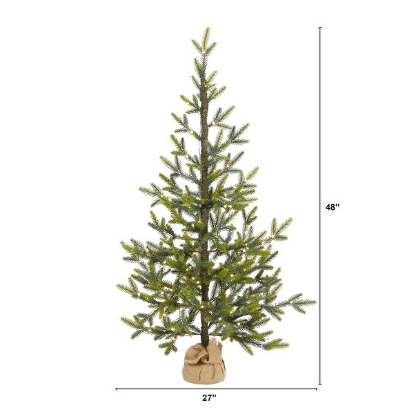 4' Fraser Fir Natural Look Christmas Tree with 100 Clear LED Lights