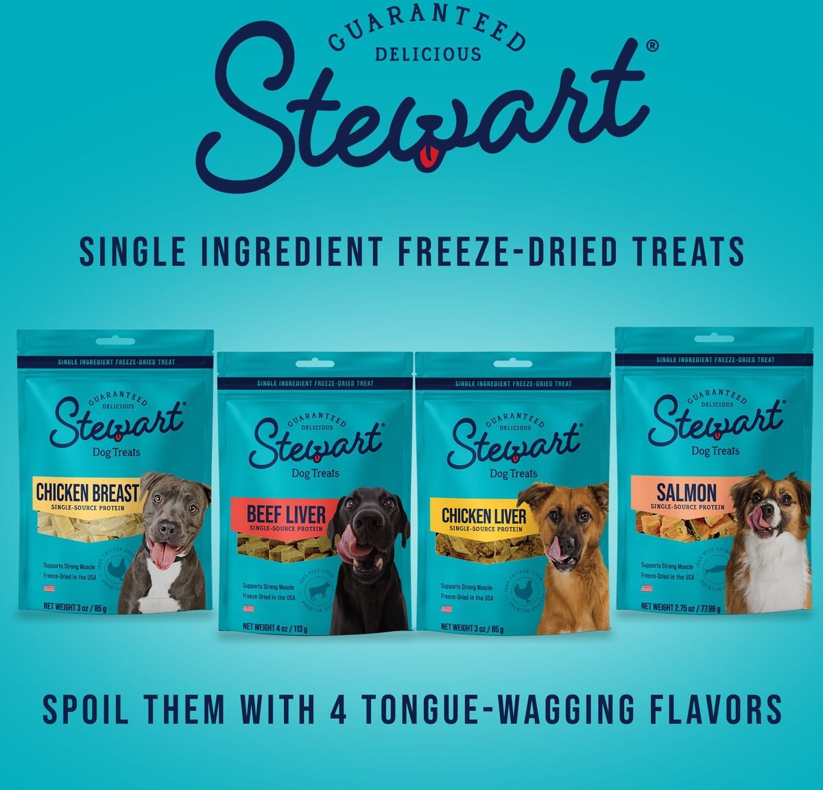 Stewart Healthy Hips Beef and Sweet Potato Recipe Grain-Free Freeze-Dried Dog Treats