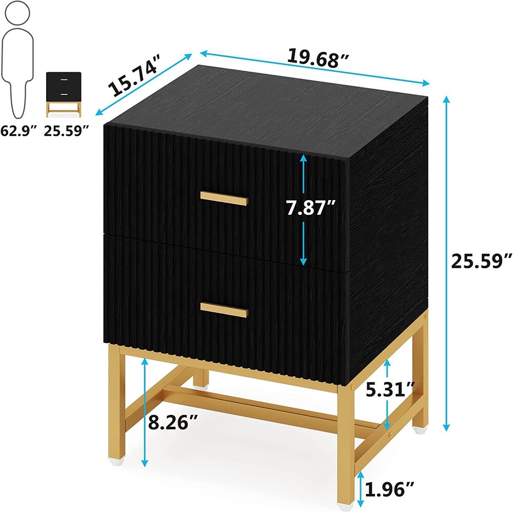 Nightstand 2 Drawer  Bed Side Table with Storage Cabinet End Table