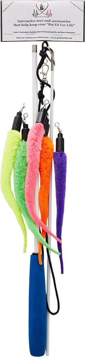 Pet Fit For Life 5 Piece Squiggly Worm Wand Cat Toy