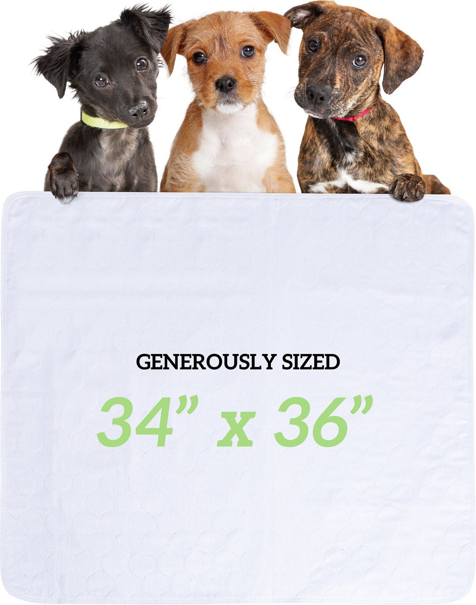 Green Lifestyle Reusable Dog Pee Pads