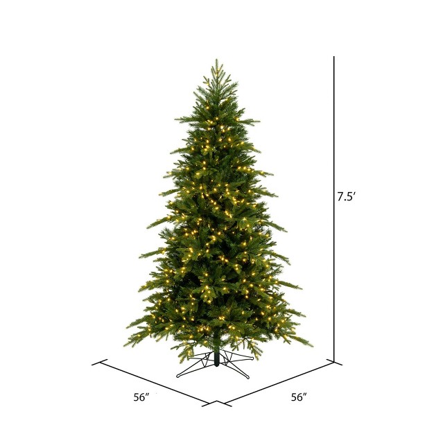 Vickerman Kingston Fraser Fir Artificial Christmas Tree