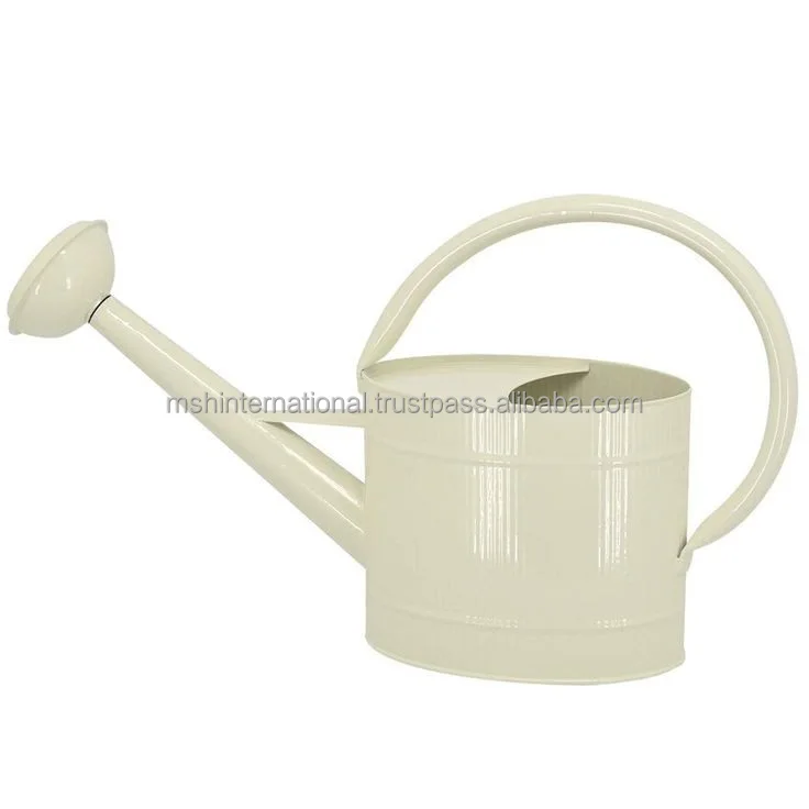 Garden Galvanized Metal Steel Watering Can 4 Litre Brass Rose with Copper Accents Antique Sprinkle Head for Home Garden