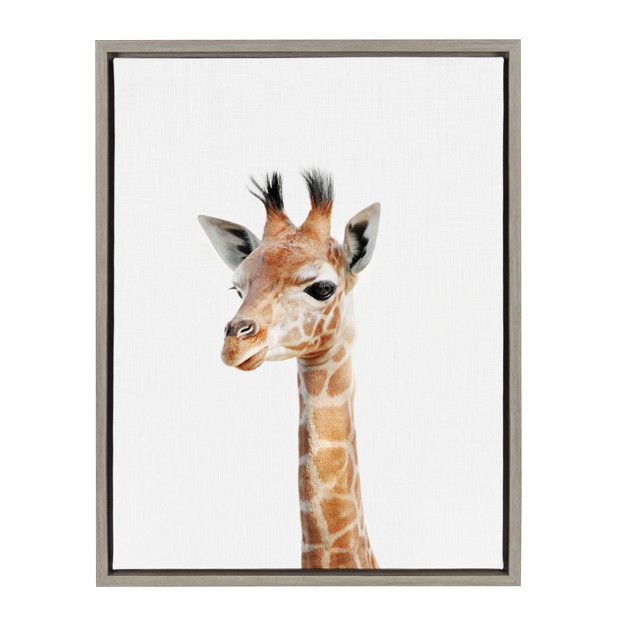 X 24 quot Sylvie Baby Giraffe Framed Canvas By Amy Peterson Gray Kate And Laurel