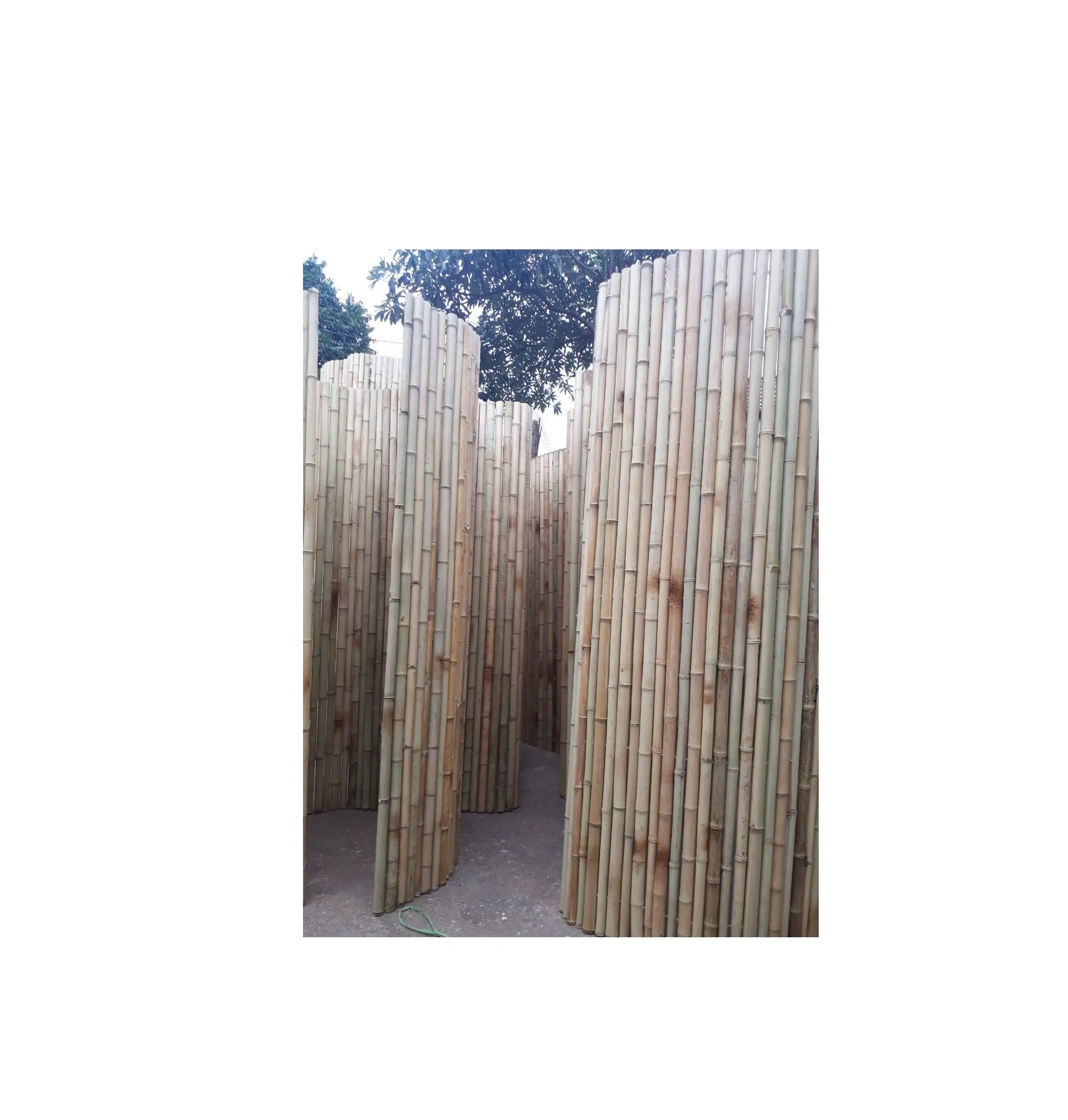 Rolled bamboo fencing material   Bamboo garden fence roll 2m x 5m for decorative panel garden from Vietnam bamboo