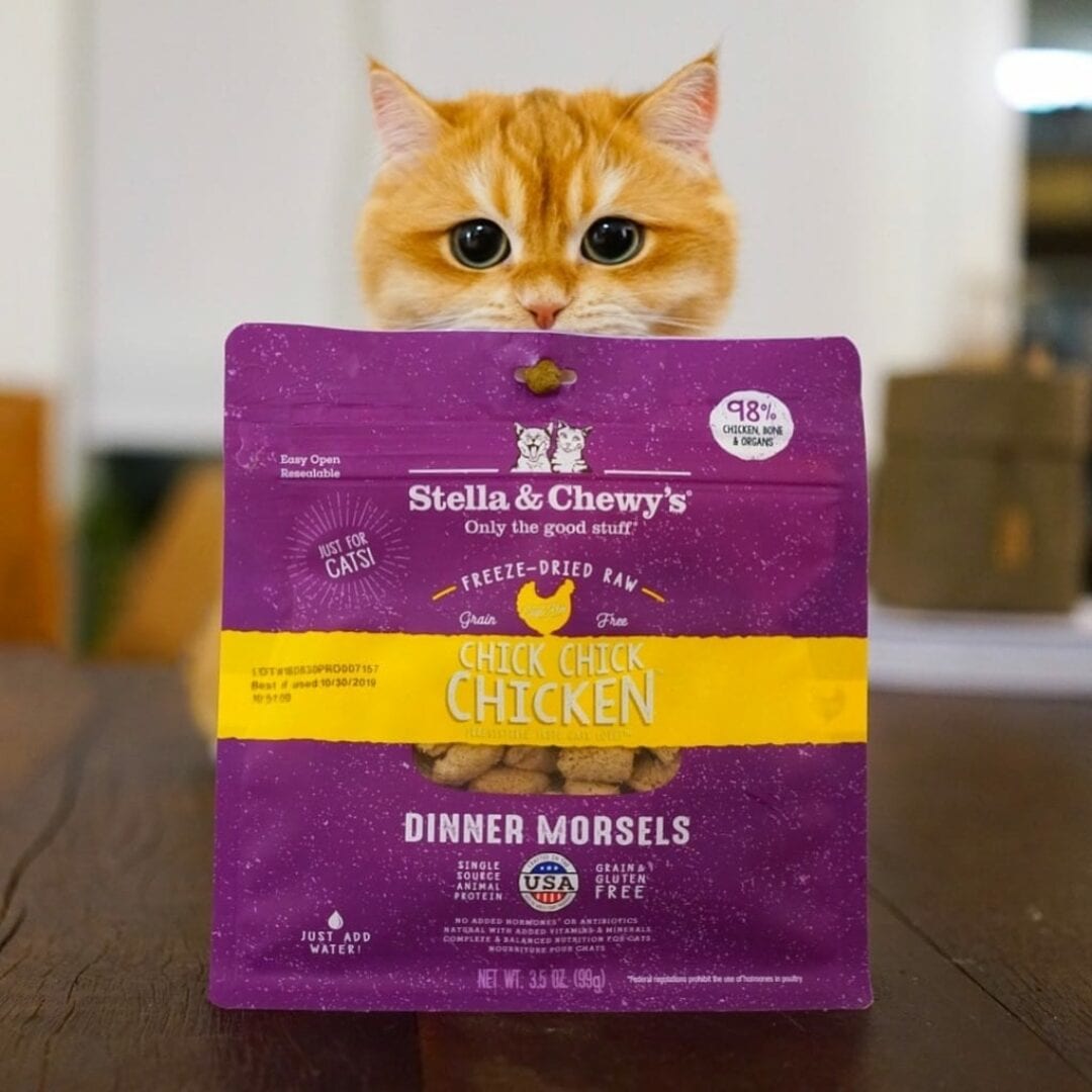 Stella and Chewy's Chick Chick Chicken Dinner Freeze-Dried Cat Food