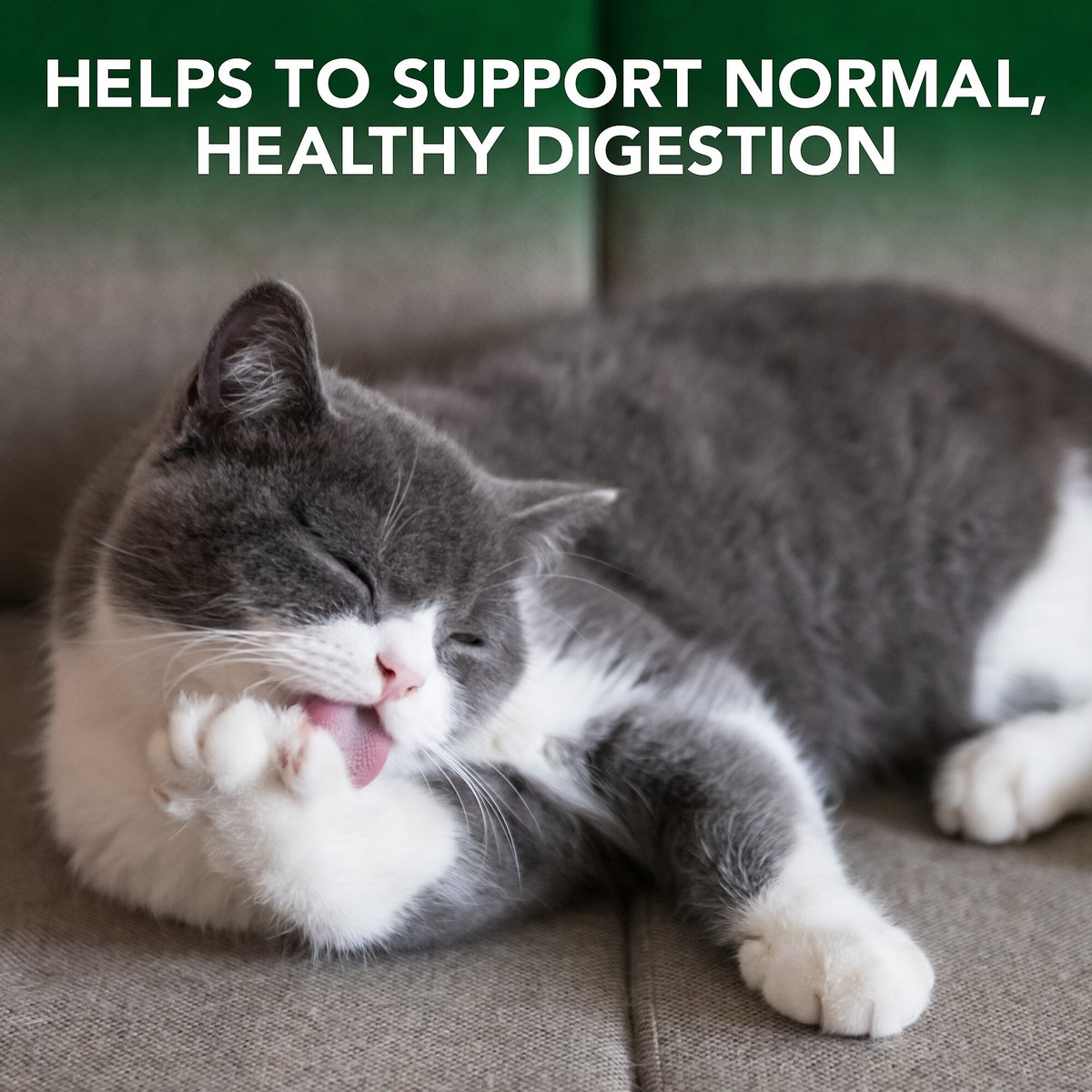 Vet's Best Chewable Tablets Hairball Control Supplement for Cats