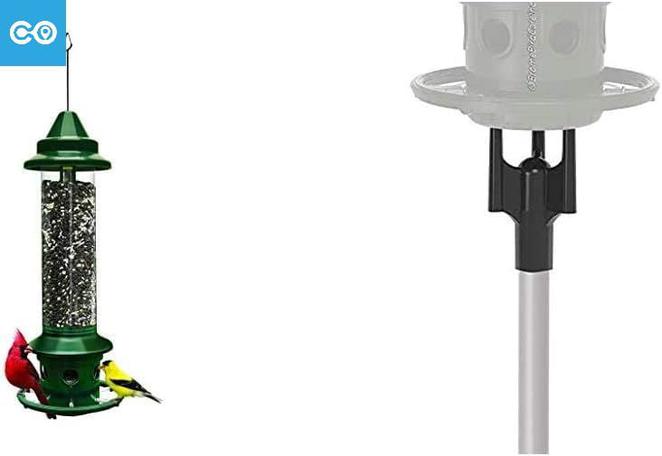 Squirrel Buster Plus Squirrel-Proof Bird Feeder w/Cardinal Ring and 6 Feeding Ports  5.1-Pound Seed Capacity  Green and Squirrel Buster Pole Adaptor  Black  1-inch External Diameter