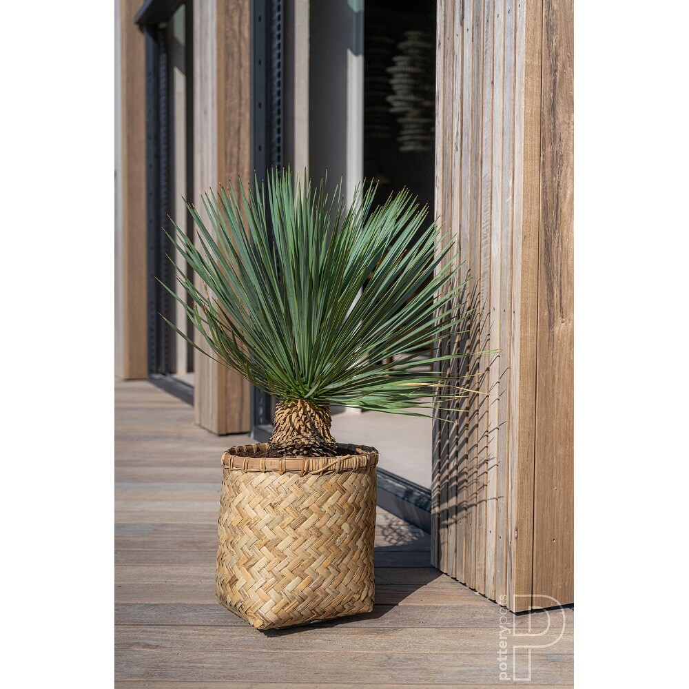 Pottery Pots Zayn Bamboo Indoor Outdoor Round Planter  Natural Finish
