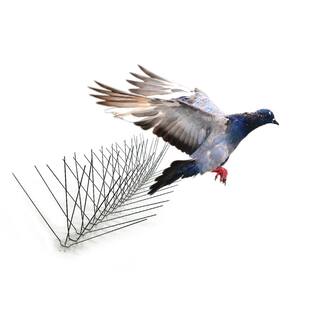 Bird-X 50 ft. Stainless Steel Bird Spikes Pigeons Starling Blackbirds Seagulls 6 in. Coverage STS-50