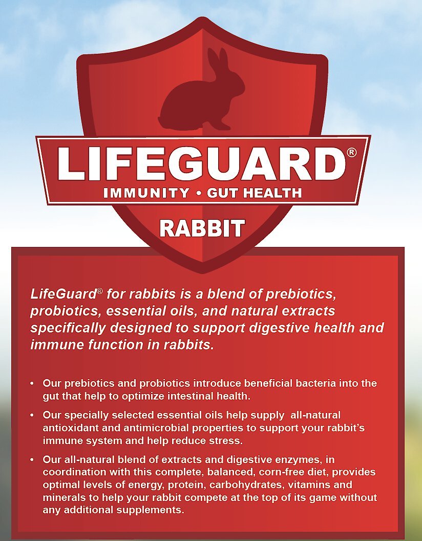 Kalmbach Feeds Best in Show 18% Professional Rabbit Feed， 50-lb bag