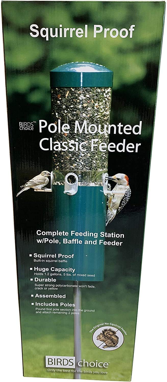 Nature Products Green Classic Pole Mount Feeder