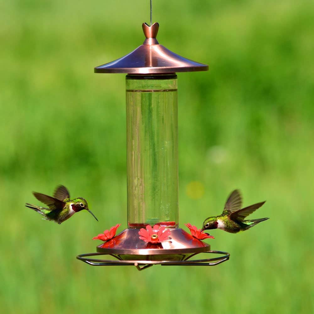 Perky-Pet 710B Elegant Glass Hummingbird Feeder