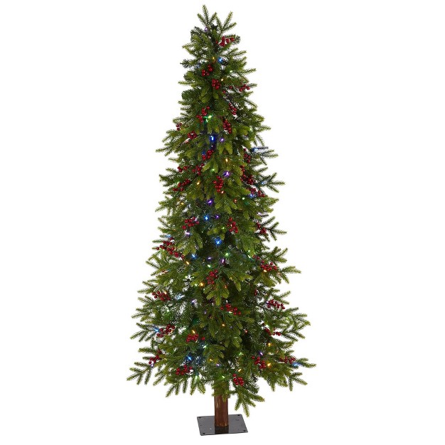 Nearly Natural 6' Pre-lit Led Victoria Fir Artificial Christmas Tree Multifunction Multicolor Lights