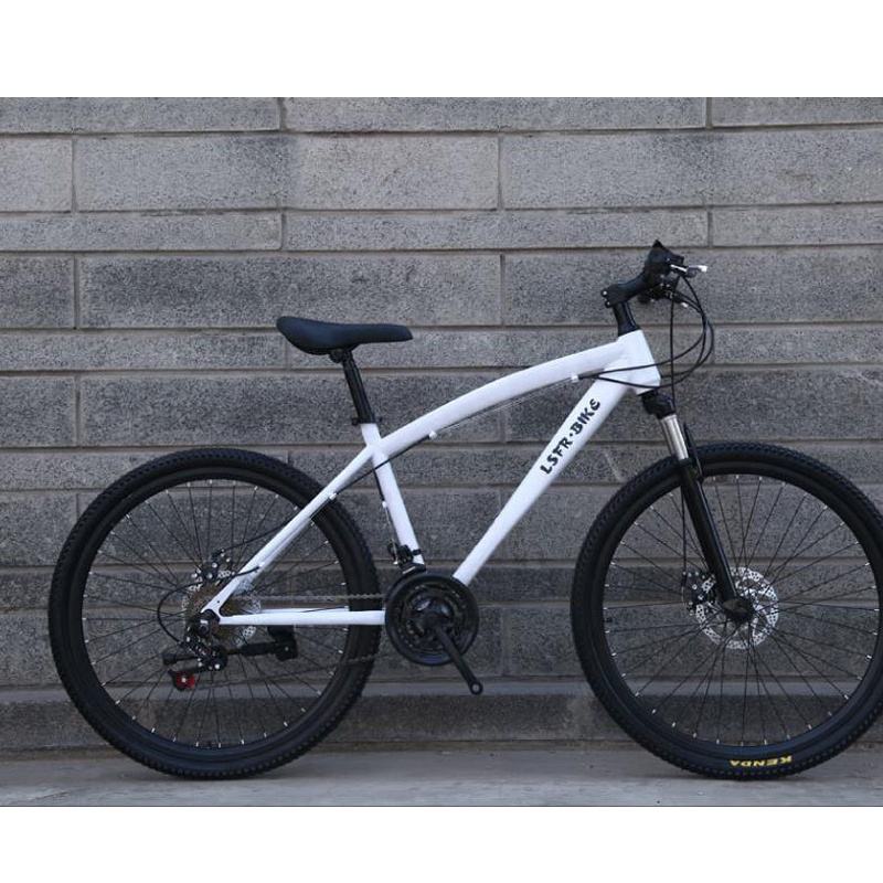 Hebei factory 2018 new model high quality 21 speed mountain bike