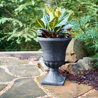 Southern Patio Winston Large 16 in. x 21 in. Black Resin Composite Urn Planter EB-029816