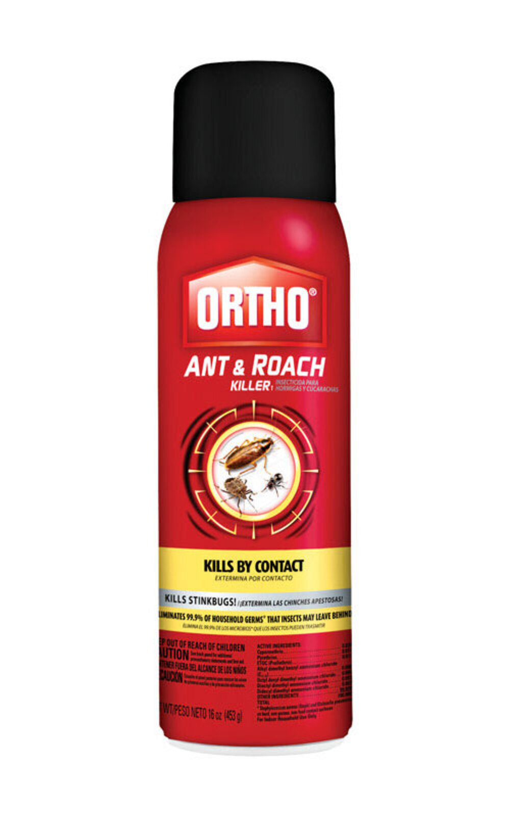 ANTROACH AEROSOL 16OZ