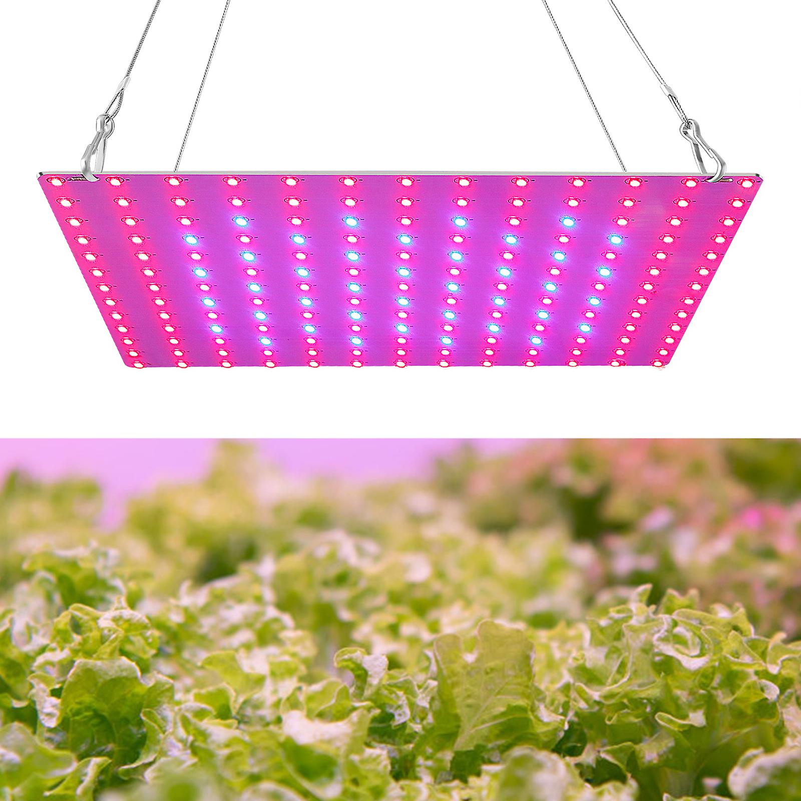 Uk Plug and S Led Grow Light Red Blue Full Spectrum 81 Leds Grow Lamps Led Panel Grow Light For Succulents Hydroponic Greenhouse Indoor Plant Flower Veg