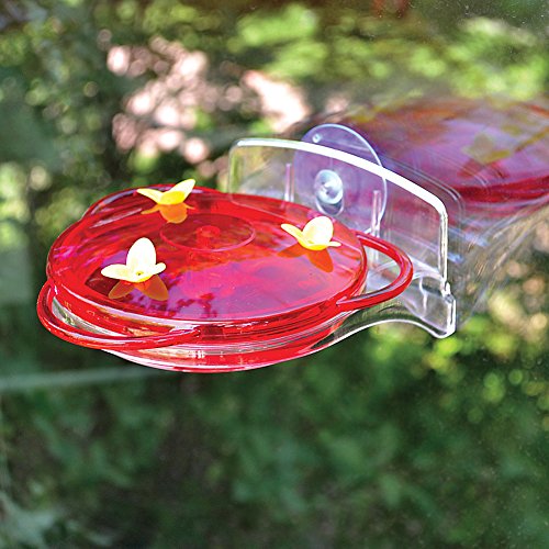 More Birds 3-in-1 Humming Bird Feeder - 6 fl oz