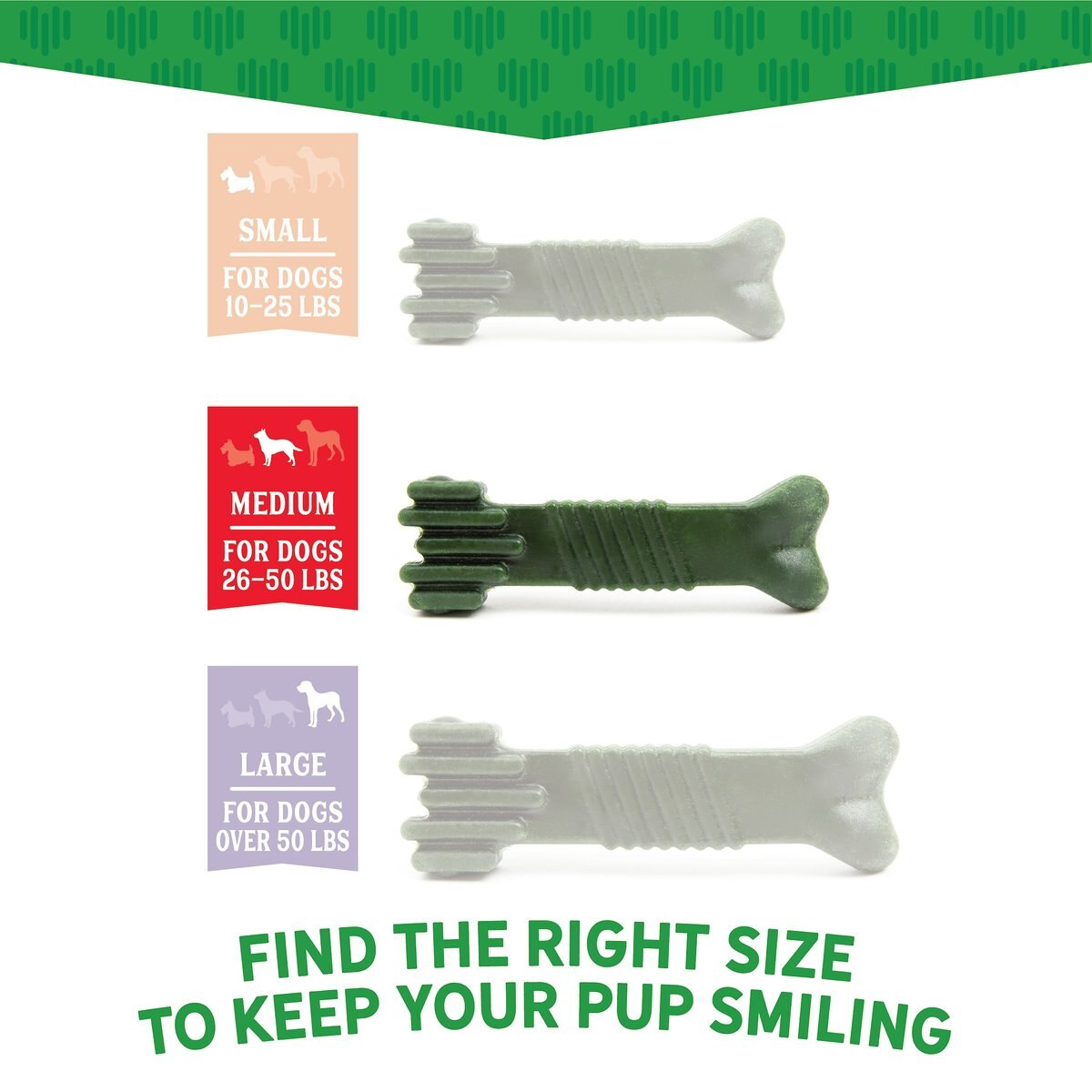 Dr. Dental Fresh Chews Medium Dental Dog Treats