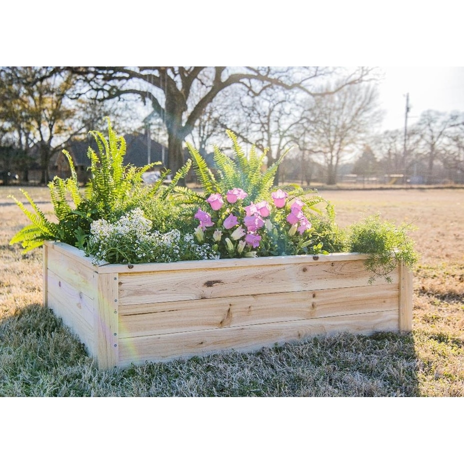 Zylina Superior Raised Garden Bed   46 x 35 x 12